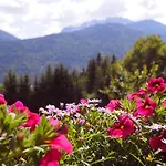 Waldhof * 헤르마고