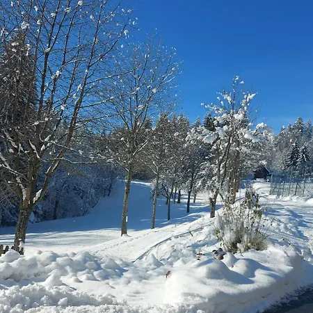 Waldhof Lejlighed *
