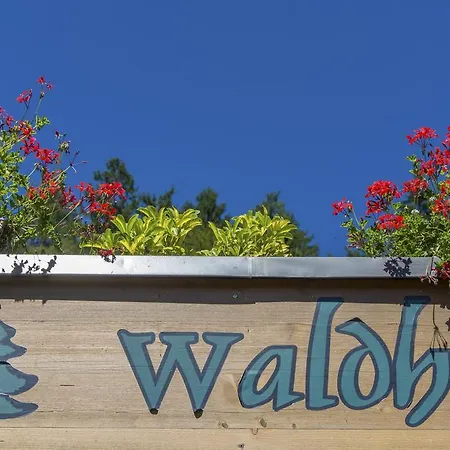 Waldhof Апартаменты *
