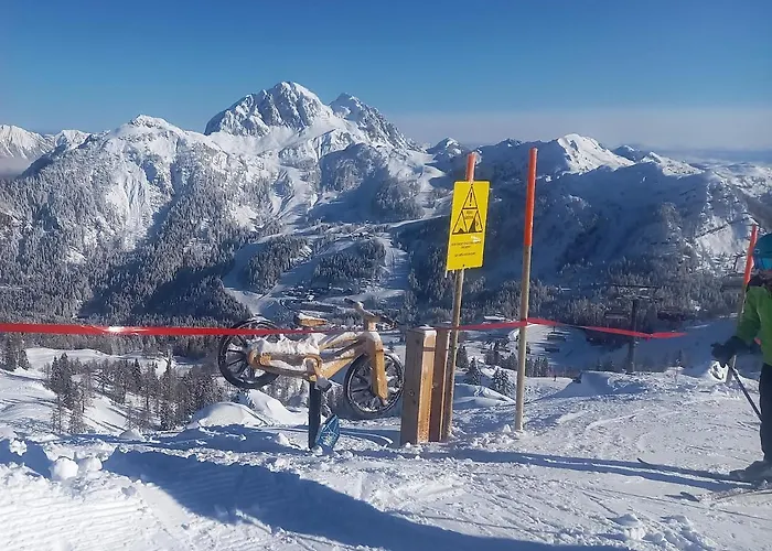 公寓 费瑞火斯瓦尔德霍夫酒店 *