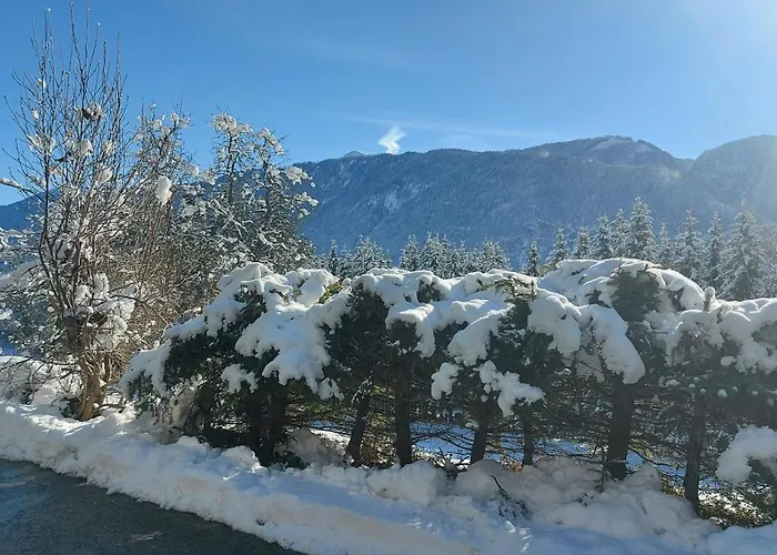 费瑞火斯瓦尔德霍夫酒店 黑马戈尔