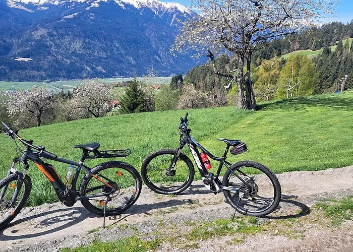 费瑞火斯瓦尔德霍夫酒店 公寓 *