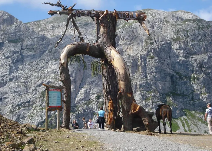 费瑞火斯瓦尔德霍夫酒店 公寓 黑马戈尔