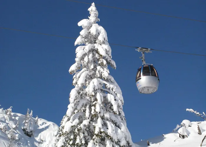 费瑞火斯瓦尔德霍夫酒店 公寓 黑马戈尔