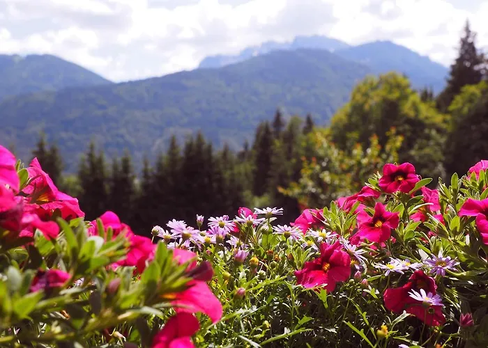 Waldhof * Hermagor-Pressegger See