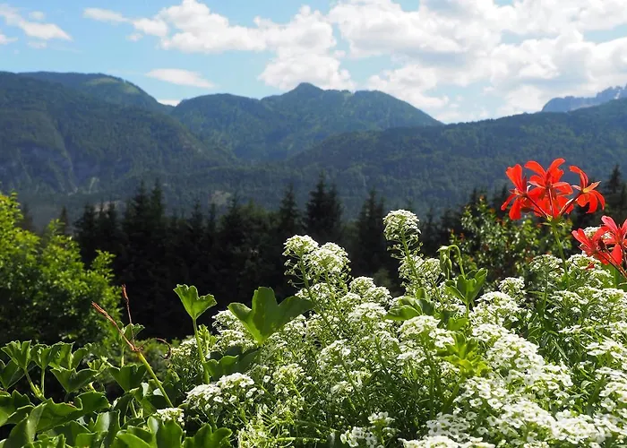 公寓 费瑞火斯瓦尔德霍夫酒店 *