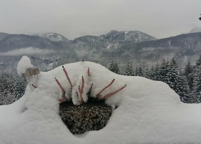 费瑞火斯瓦尔德霍夫酒店 黑马戈尔