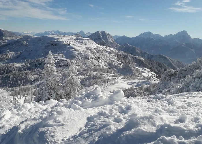 Waldhof * הרמגור